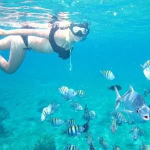 Meet your Posher, Alexia g.